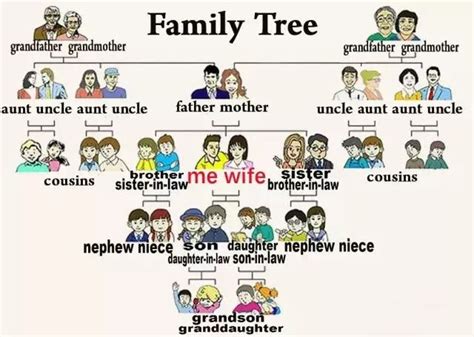 家庭成員英文 生活中的三角形